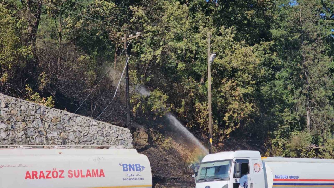 Zonguldak’ta çıkan örtü yangını, ekiplerin ve vatandaşların müdahalesiyle kontrol altına