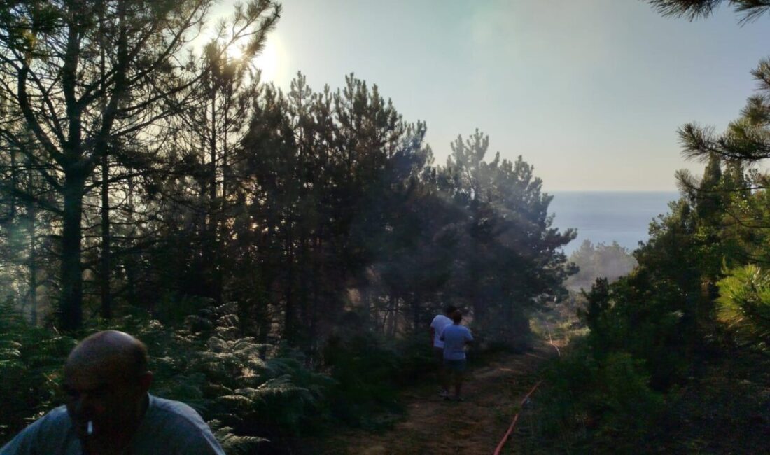 Zonguldak’ın Ereğli ilçesine bağlı Tepeören köyünde çıkan orman yangını, ekiplerin