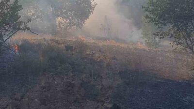 Zonguldak’ın merkez ilçesine bağlı Kaleoğlu köyü yakınlarındaki ormanlık alanda çıkan