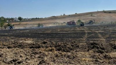 Sakarya’nın Kaynarca ilçesinde tarım arazisinde çıkan anız yangınında 20 dönümlük
