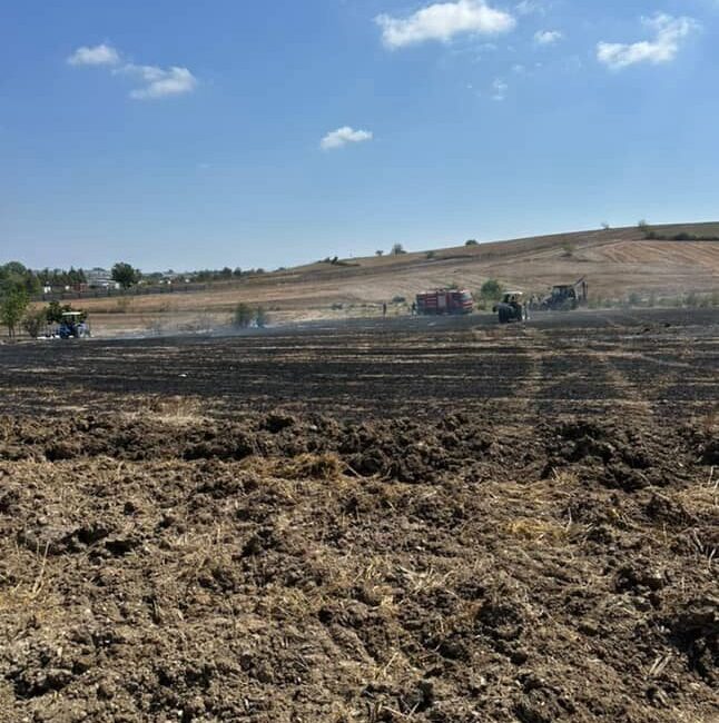 Sakarya’nın Kaynarca ilçesinde tarım arazisinde çıkan anız yangınında 20 dönümlük