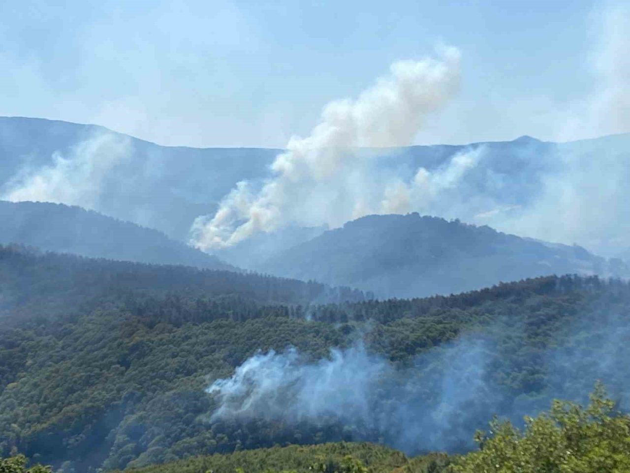 Kocaeli’nin Karamürsel ilçesinde çıkan orman yangınına müdahale devam ediyor. 963