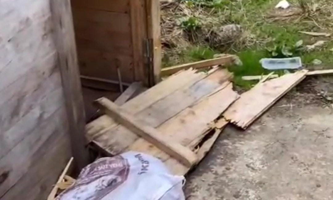Rize’nin Huser Yaylası ve Ayder Yaylası’nda aç kalan ayılar yayla