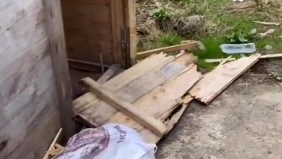 Rize’nin Huser Yaylası ve Ayder Yaylası’nda aç kalan ayılar yayla