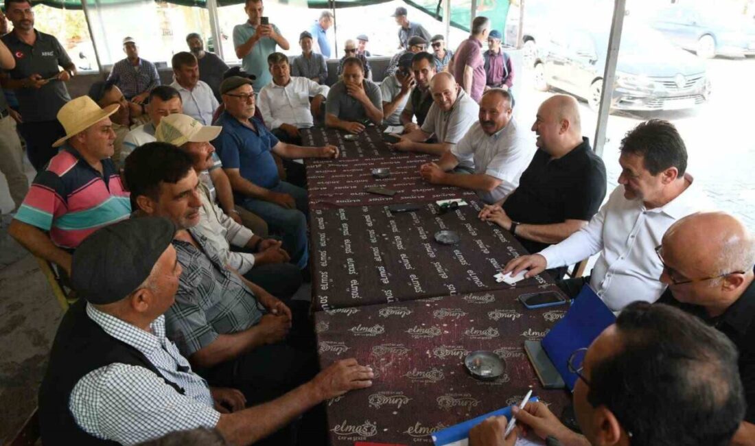 Çanakkale’nin Ayvacık ilçesine bağlı Naldöken köyünde 15 Temmuz’da çıkan ve