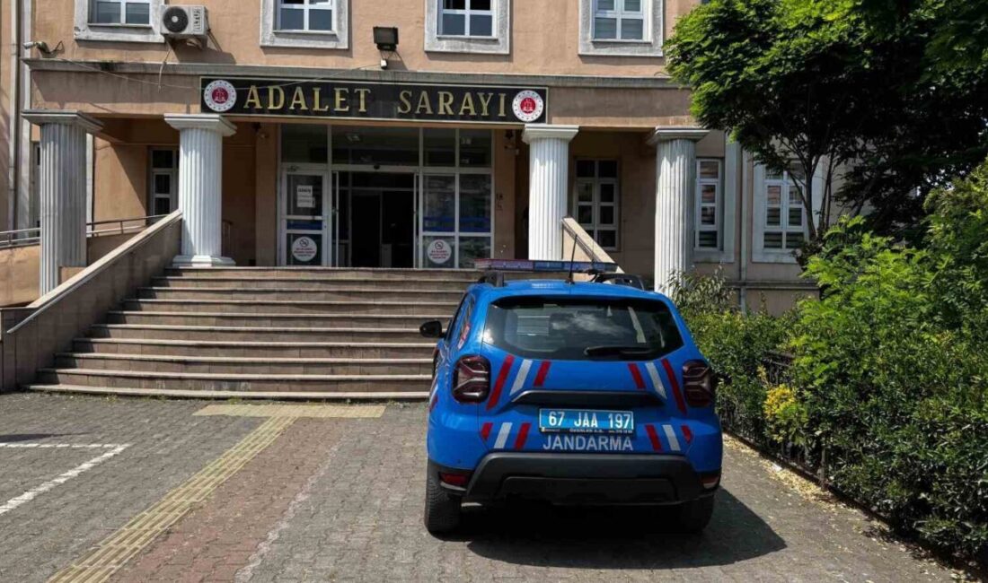 Zonguldak’ın Alaplı ilçesinde bir fındık bahçesinde dikili halde 16 kök