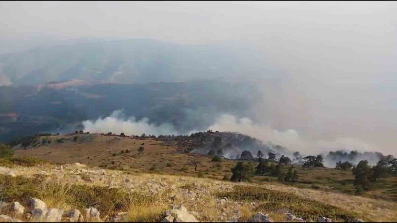 Amasya’da ormanlık alanda yangın çıktı. Edinilen bilgiye göre, Amasya merkeze