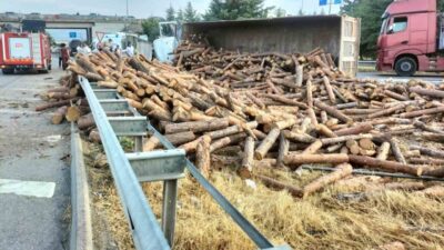 Amasya’nın Merzifon ilçesinde tomruk yüklü tır, kontrolden çıkarak devrildi. Yaralanan