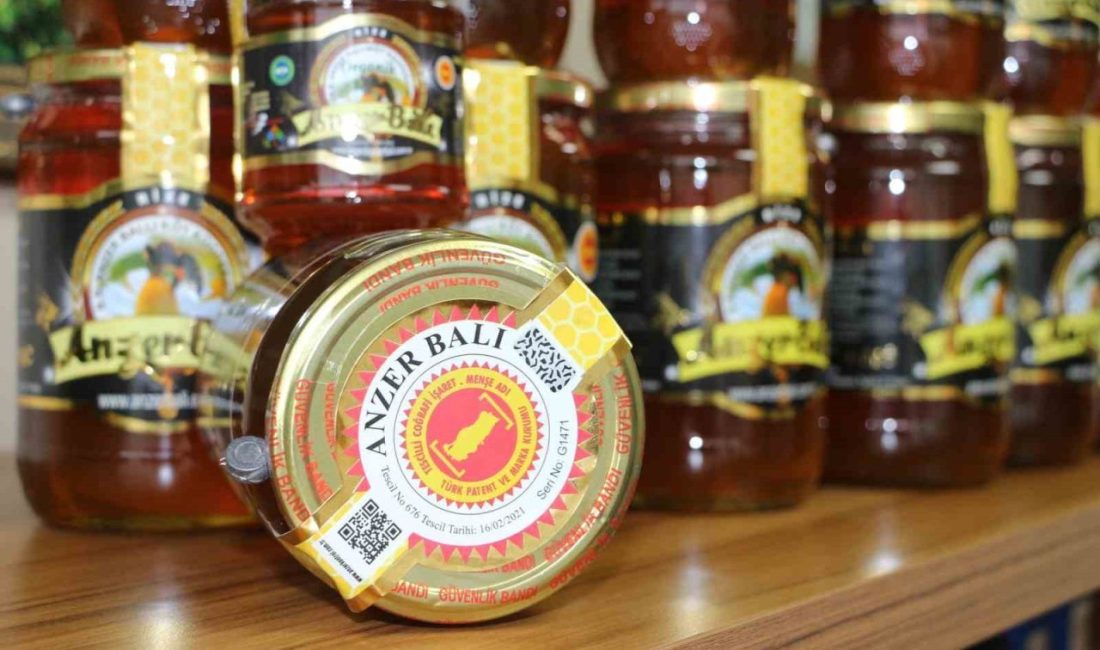 Bu yıl son 50 yılın en yüksek rekoltesinin gerçekleştiği dünyaca