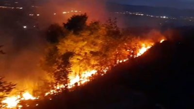 Ardahan’da çıkan anız ve fidanlık yangını ekiplerin hızlı müdahalesiyle söndürüldü.