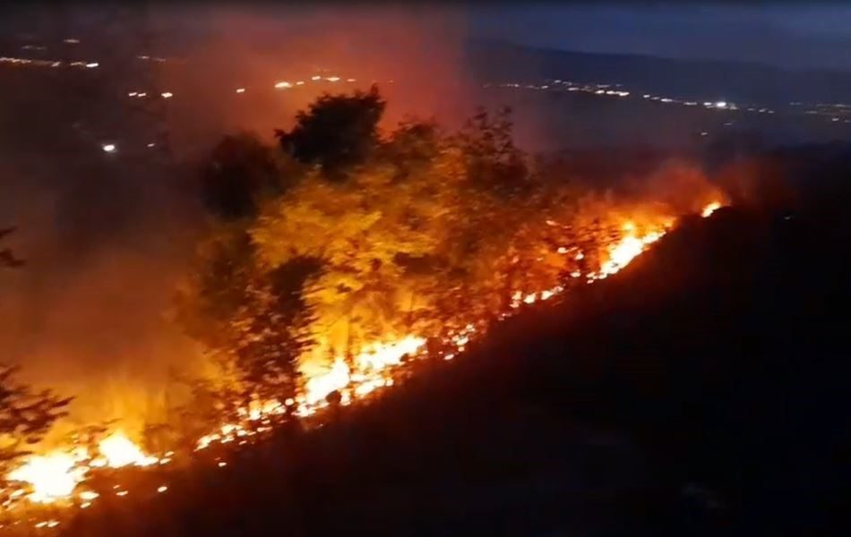 Ardahan’da çıkan anız ve fidanlık yangını ekiplerin hızlı müdahalesiyle söndürüldü.