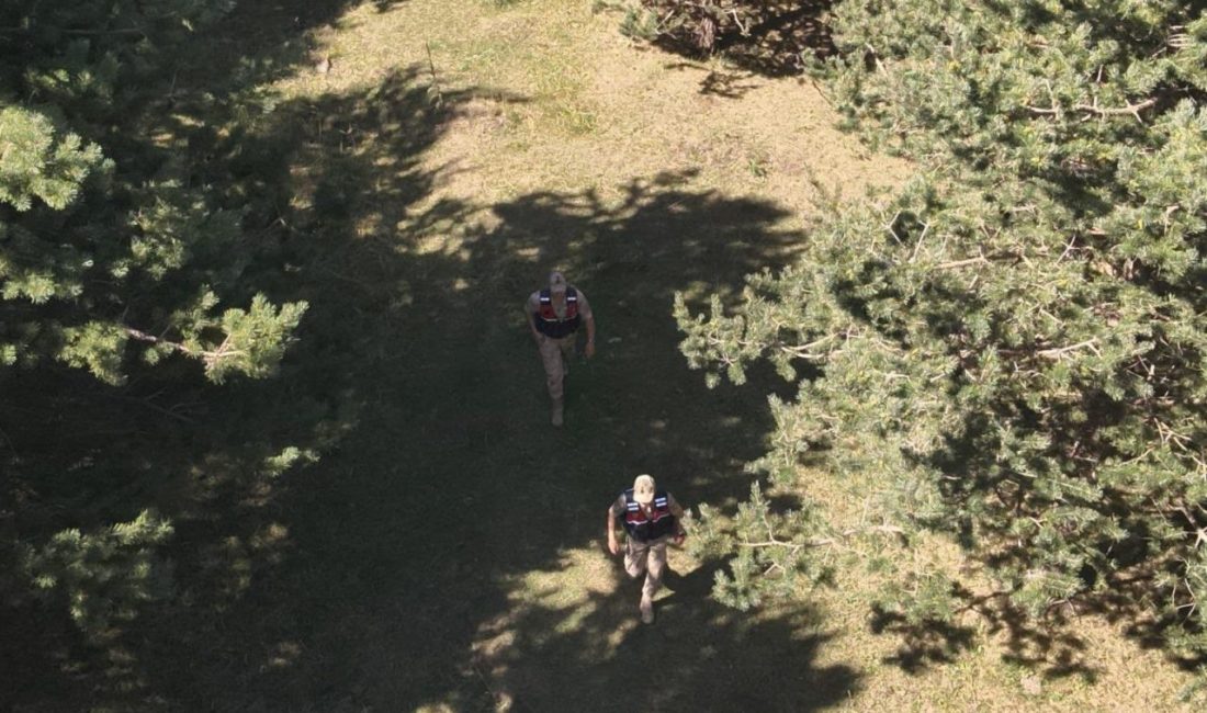 Ardahan’da jandarma ekipleri, yangın riski nedeniyle ormanlık alanlarda devriye görevi