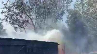 Kocaeli’nin Derince ilçesinde ağaçlık alanda çıkan yangına itfaiye ekipleri müdahale