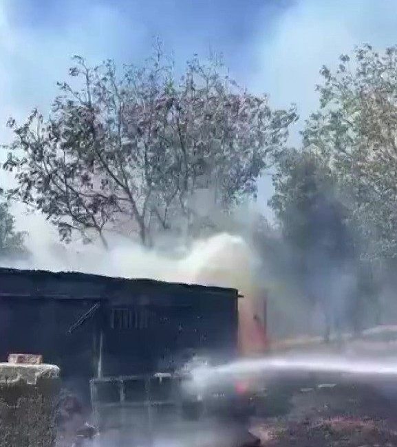 Kocaeli’nin Derince ilçesinde ağaçlık alanda çıkan yangına itfaiye ekipleri müdahale