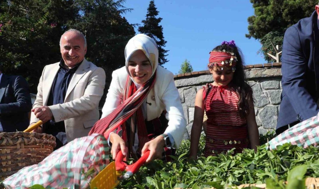 Aile ve Sosyal Hizmetler Bakanı Mahinur Özdemir Göktaş, ‘Aile Yılı’