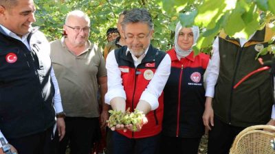 Düzce’de düzenlenen Fındık Hasat Şenliği’ne katılan Tarım ve Orman Bakanı