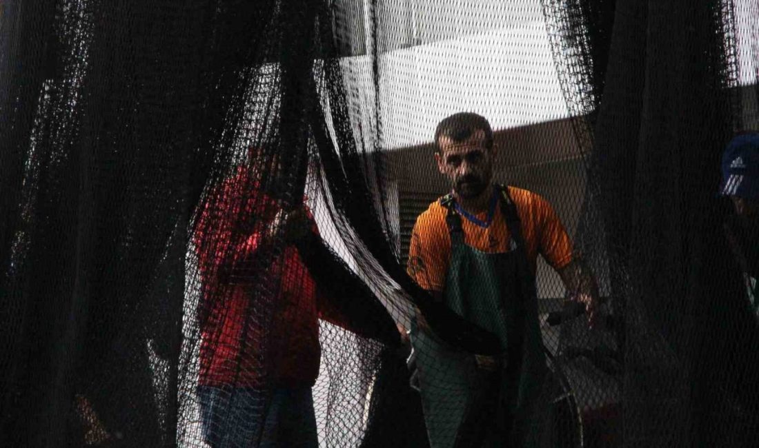 Türkiye’de denizlerde av yasağının sona ermesiyle balıkçılar 1 Eylül gecesi