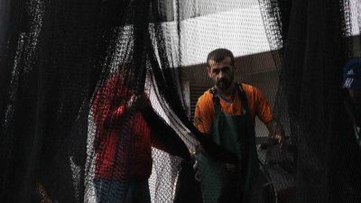Türkiye’de denizlerde av yasağının sona ermesiyle balıkçılar 1 Eylül gecesi