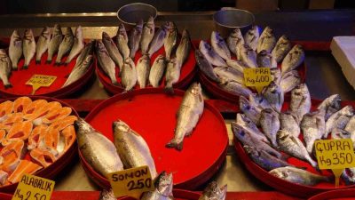 Karadeniz’de balık sezonunun başlamasına bir aydan az bir süre kalmasına