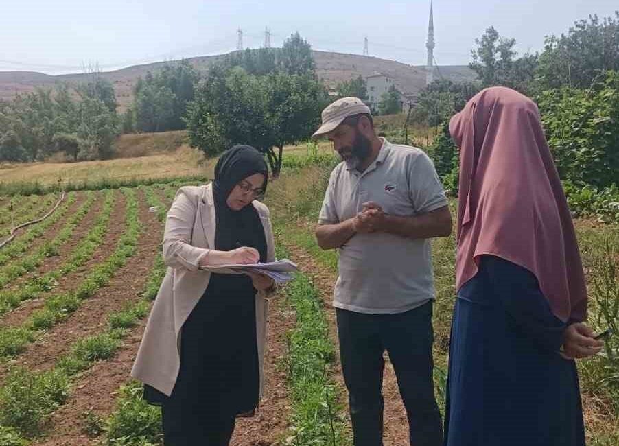 Bayburt’a özgü aromasıyla bilinen ve coğrafi işaretle tescillenen Bayburt tarhununda