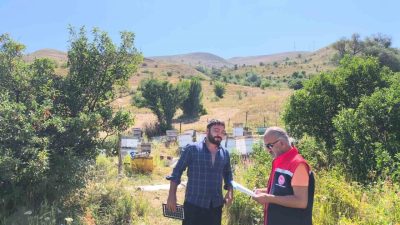 2025 yılı ’Arılı Kovan Desteklemesi’ kapsamında Bayburt’ta kovan tespit çalışmaları