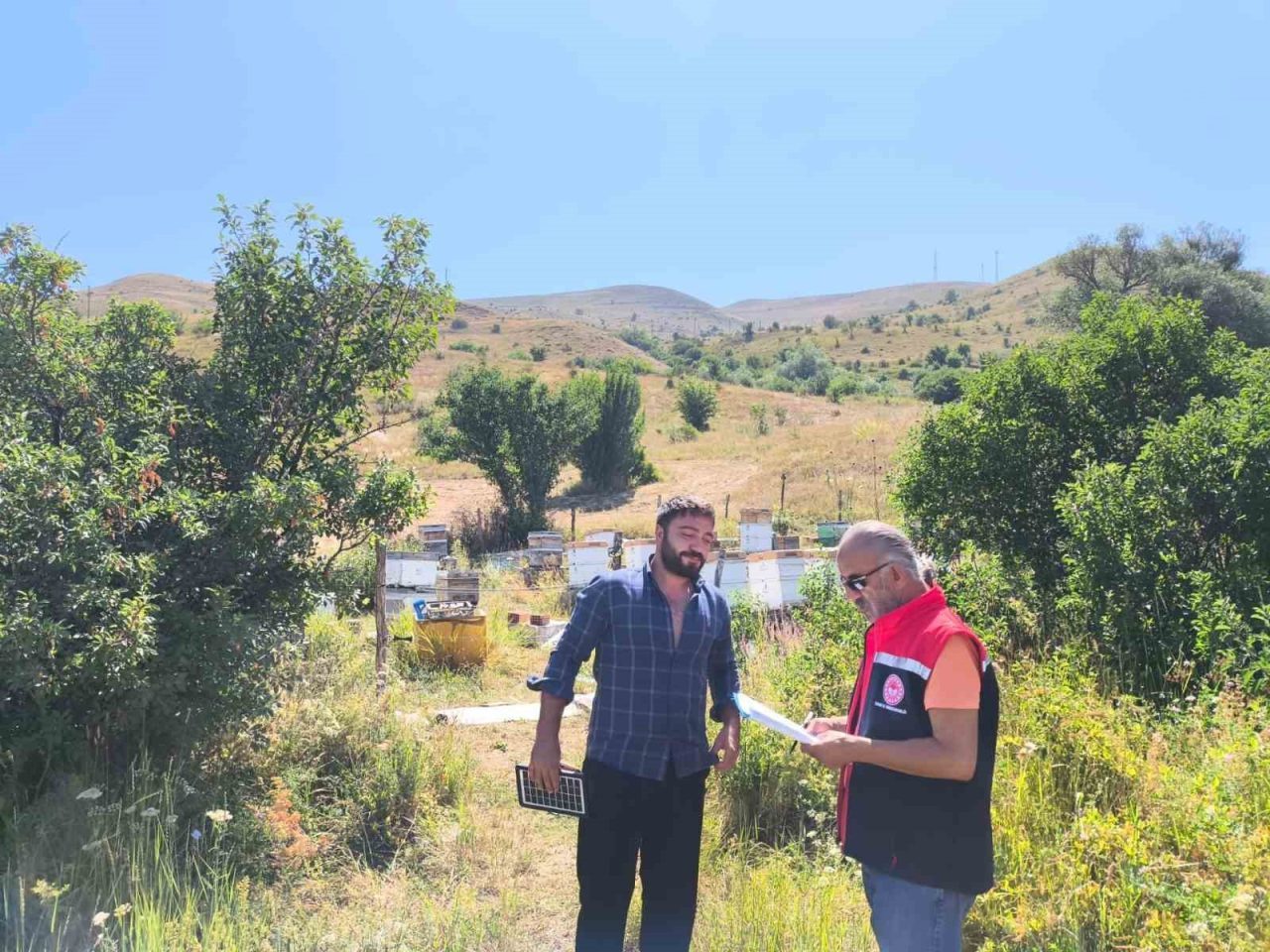 2025 yılı ’Arılı Kovan Desteklemesi’ kapsamında Bayburt’ta kovan tespit çalışmaları