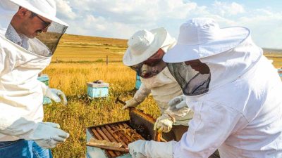 Bayburt’ta geniş ve zengin bitki örtüsüne sahip yaylalarda arıcılık yapan