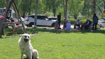 Bayburt’ta hafta sonu tatili ve güzel havayı fırsat bilen vatandaşlar,