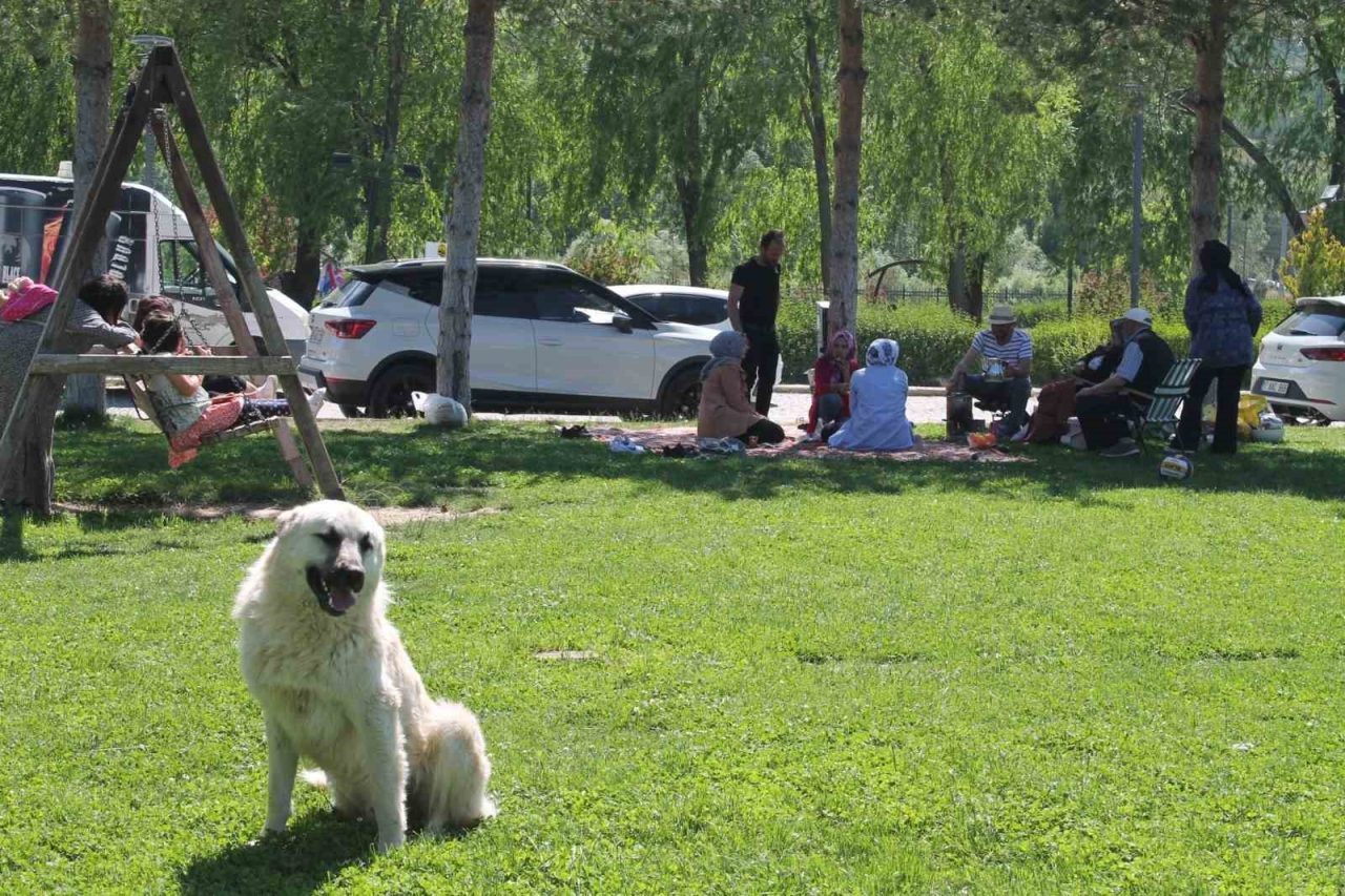 Bayburt’ta hafta sonu tatili ve güzel havayı fırsat bilen vatandaşlar,