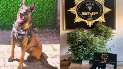 Bayburt’ta narkotik köpeği ‘Pablo’ ile yapılan uyuşturucuyla mücadele çalışmalarında 5