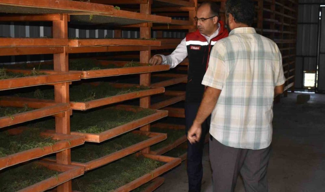 Bayburt’un önemli yöresel ürünlerinden olan tarhun bitkisinin ekonomiye kazandırılması amacıyla