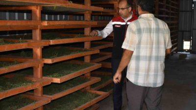 Bayburt’un önemli yöresel ürünlerinden olan tarhun bitkisinin ekonomiye kazandırılması amacıyla