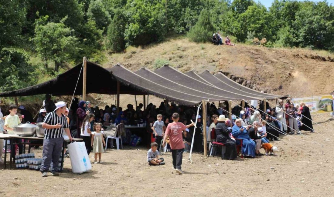 Bayburt’un Dövmekaya köyünde ‘Dövmekaya Köyü 1. Piknik Şöleni’ gerçekleştirildi. İlki