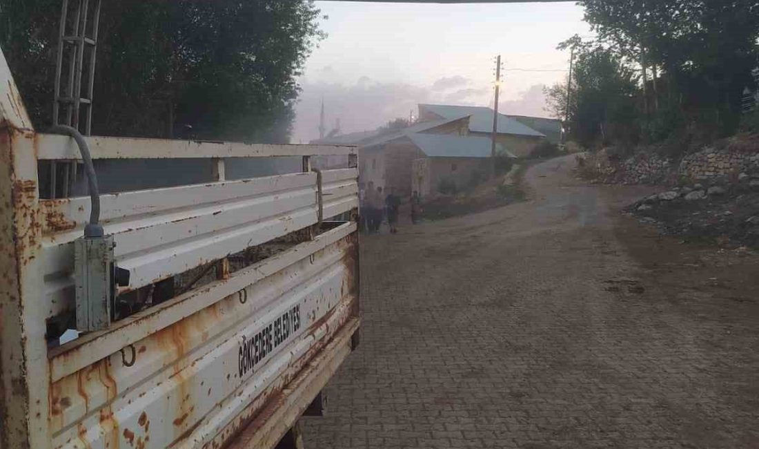 Bayburt’un Yakupabdal, Petekli, Kavaklı ve Çimentepe köylerinde sinek ve haşerelere