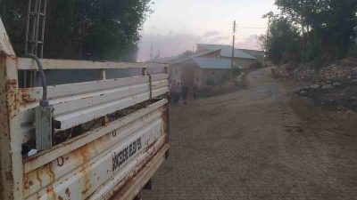 Bayburt’un Yakupabdal, Petekli, Kavaklı ve Çimentepe köylerinde sinek ve haşerelere