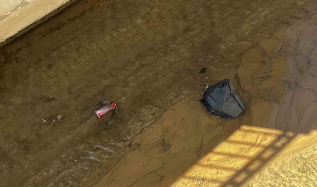 Bayburt’taki Pönserek Deresi’nde temizlik yapılmaması nedeniyle çöp birikintileri ve yoğun