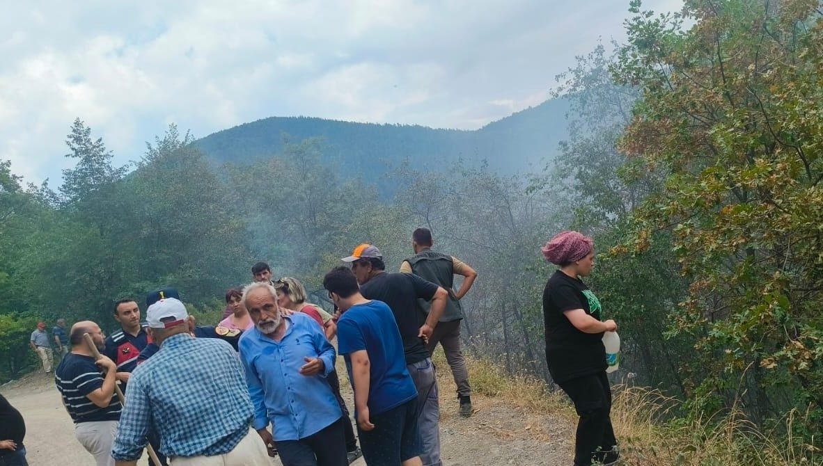 Kastamonu’nun Çatalzeytin ilçesinde çıkan orman yangını ekiplerin müdahalesiyle büyümeden kontrol