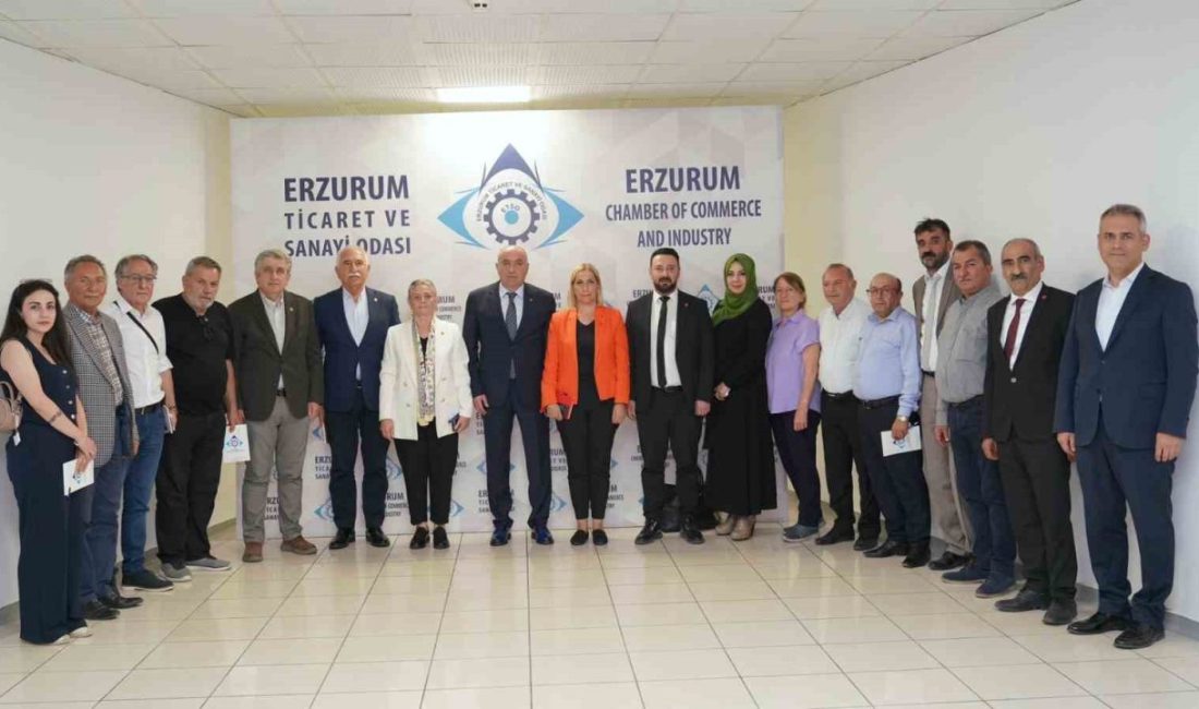 CHP Tokat Milletvekili Kadim Durmaz, Trabzon Milletvekili Sibel Suiçmez, Rize