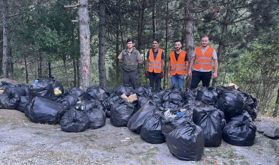 Kastamonu’nun Tosya ilçesinde D100 karayolunun yanındaki ormanlık alanda 200 torba