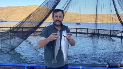 Bayburt’un Demirözü ilçesinde bulunan Demirözü Göletinde yetişen Alabalıklar Somon oldu.