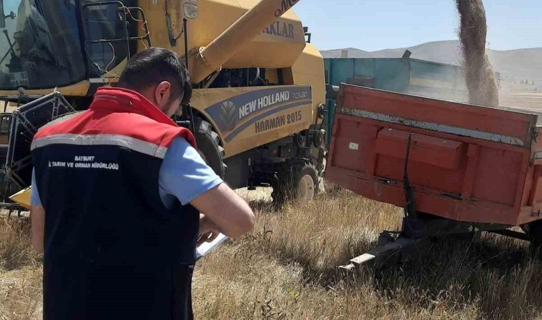 Demirözü’nde hasat sezonunun başlamasıyla birlikte İlçe Tarım ve Orman Müdürlüğü
