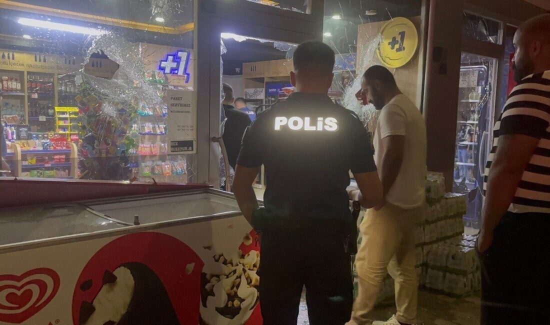 Erzincan’ın Hocabey Mahallesi’nde gece geç saatlerde alkollü bir kişi, bir
