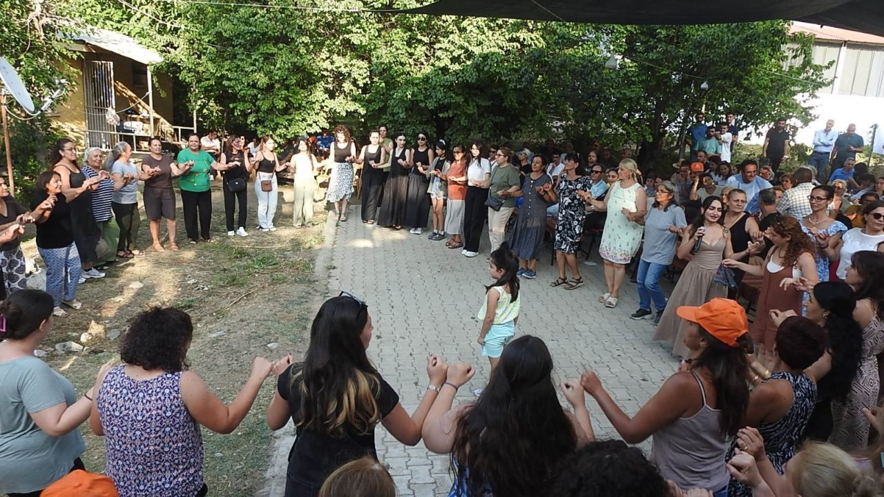 Erzincan merkeze bağlı Tatlısu köyünde bu sene ikincisi düzenlenen Çilek