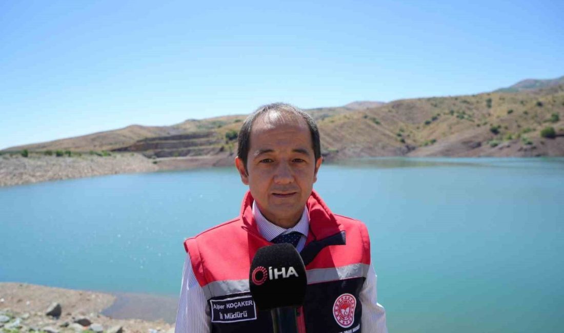 Erzincan’da bulunan baraj gölü ve göletlere bırakılan balıklar, iç sulardaki