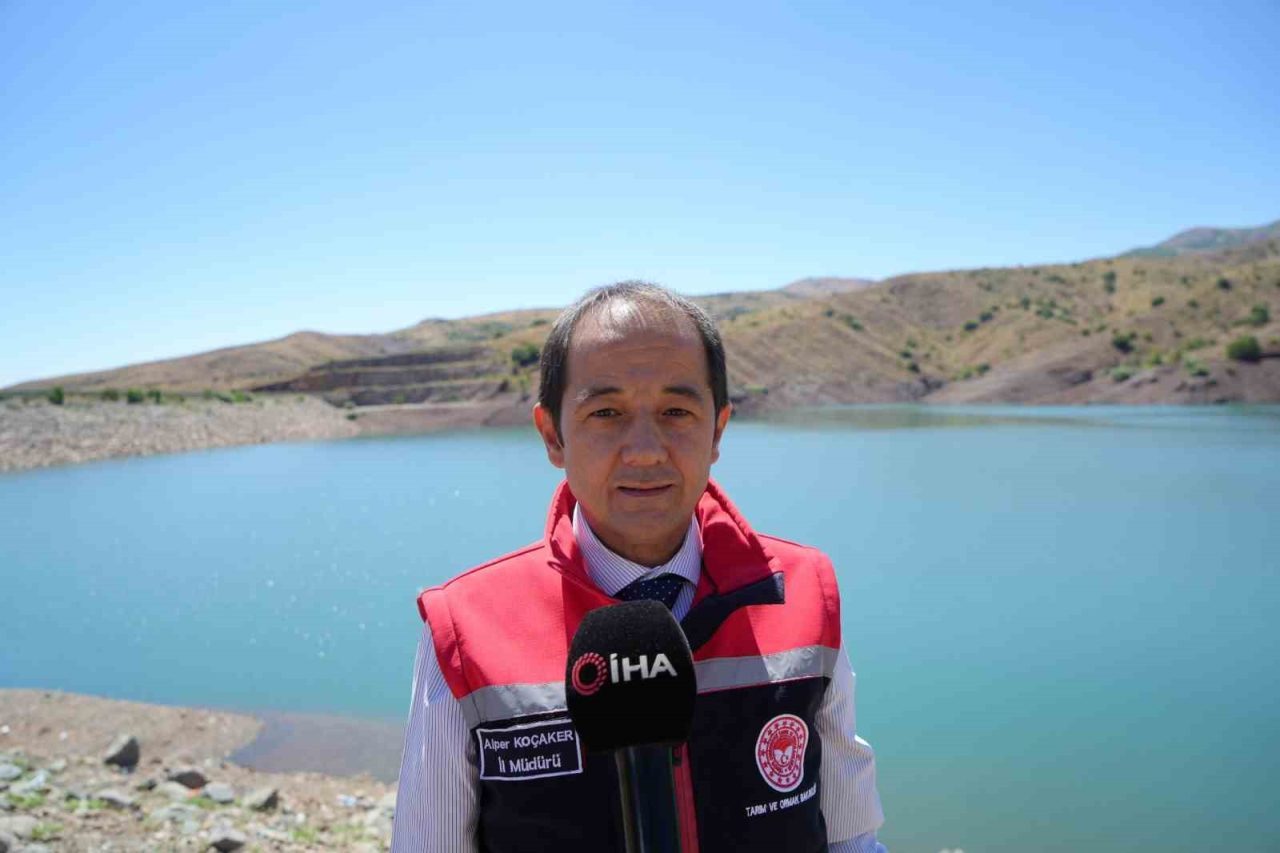 Erzincan’da bulunan baraj gölü ve göletlere bırakılan balıklar, iç sulardaki