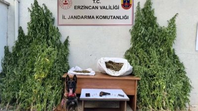 Erzincan’ın Refahiye ilçesinde bir ev ve eklentilerine jandarma ekiplerince operasyon