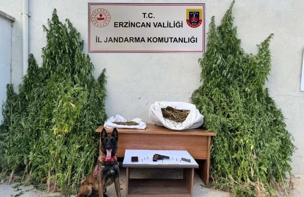 Erzincan’ın Refahiye ilçesinde bir ev ve eklentilerine jandarma ekiplerince operasyon