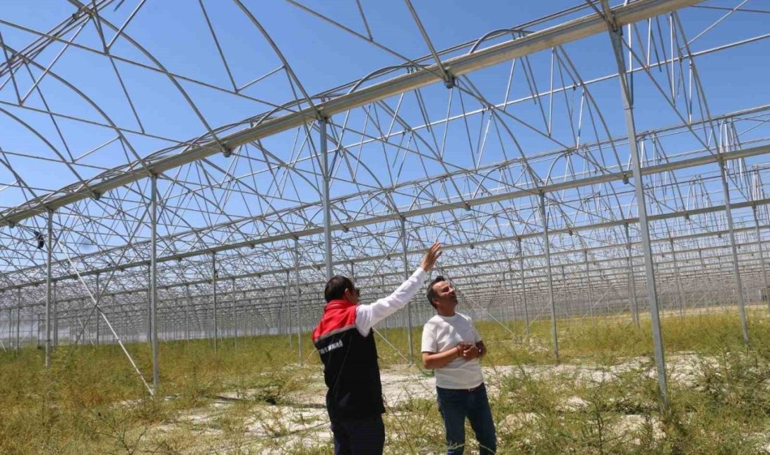 Erzincan’da jeotermal sera yatırımları devam ediyor Son yıllarda Erzincan’da yapılan yatırımlarla ivme kazanan ve bölgede liderliğe