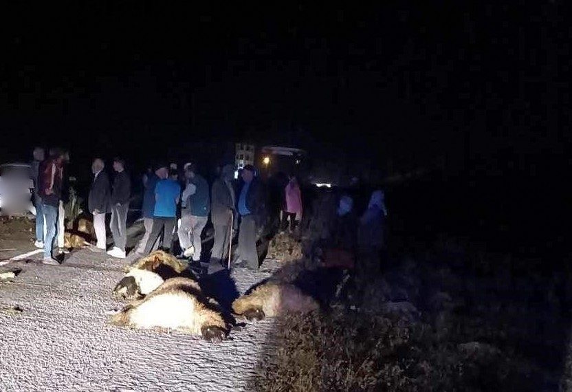 Erzincan-Erzurum kara yolunda otomobilin çarptığı 23 koyun telef oldu. Kaza,