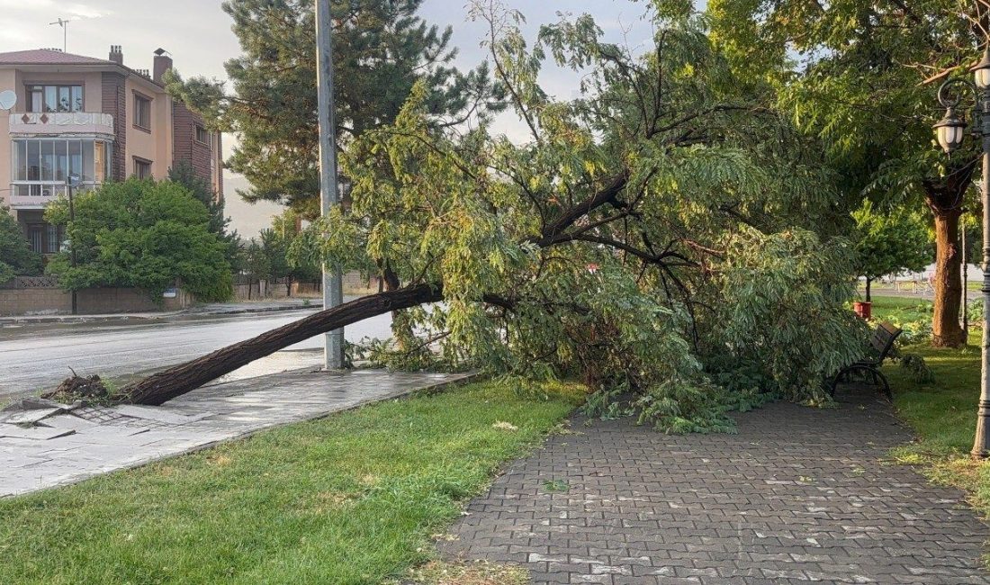 Erzincan’da fırtına binaların çatılarını uçurdu, ağaçlar köklerinden devrildi. Etkili olan